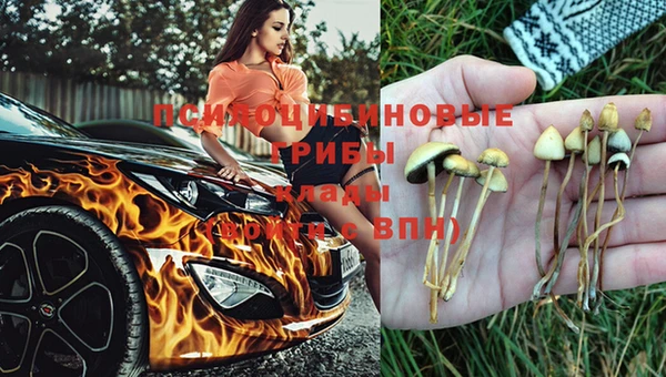 синтетический гашиш Баксан