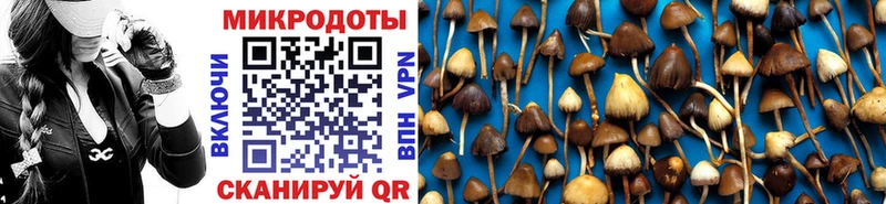 Купить закладки  Сегежа  Галлюциногенные грибы прущие грибы 
