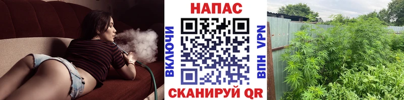 Купить где  Сегежа  МАРИХУАНА план 